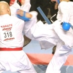 AlancarExpress-Palibex-Trofeo-Karate